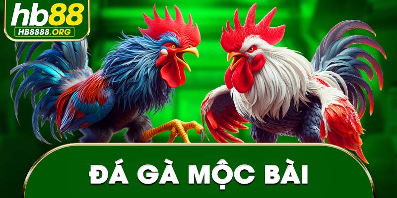 Đá gà mộc bài