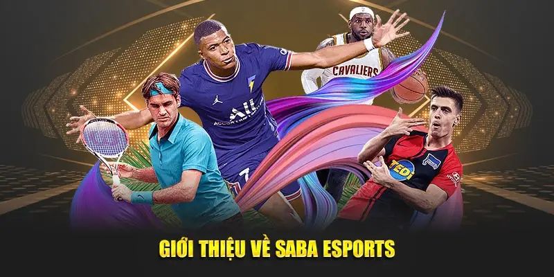 Sơ lược về nền tảng cá độ E-Sport SABA uy tín tại HB88